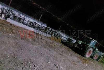 Ferma zootehnica func?ionala, populata cu peste 200 capete bovine, aproape de Sannicolau Mare - 4