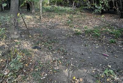 Casă cu 4 camere în Central - 3