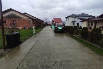 Spațiu comercial, în Dumbrava - 3