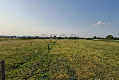 Teren de 500 mp, în Felcheriu - 4