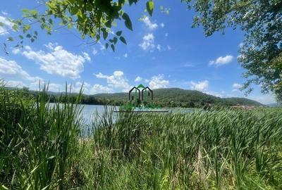 Teren Fedelesoiu/3200 mp/Intravilan - 2