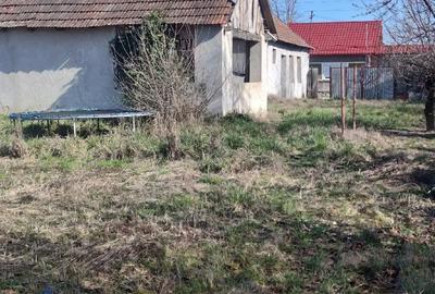 Casă cu 2 camere cu Teren 1400 Mp în Cheșa - 1