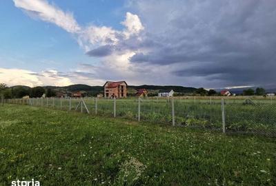 Teren de 1500 mp, în Bocicoiu Mare