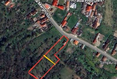 Teren de 4830 mp, în Godeni - 1