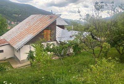 Casa, 4 camere, 125000 euro, Nehoiu , 120 Mp, 2000 mp teren. - 9