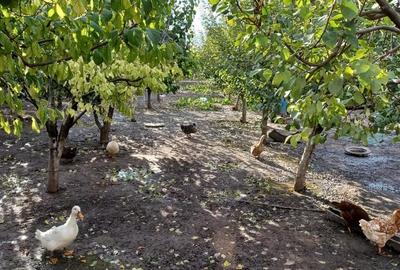 Casă cu 5 camere în Central - 19