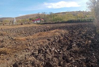 Teren de 1578 mp, în Central