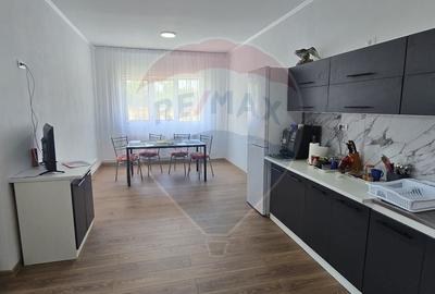 Casa de Vis la Macea - Complet Renovata si Gata de Locuit! - 3