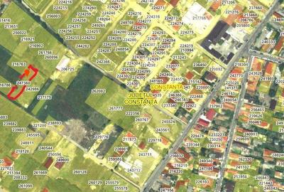 Spațiu comercial, în Viile Noi