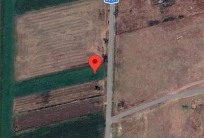 Teren de 5000 mp, în Lipia