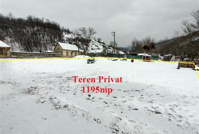 Teren Construcții intravilan de 1195 mp, în Ciclova Română - 8