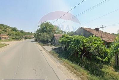 Casă individuală cu 2 camere cu Teren 3000 Mp în Păgaia - 4