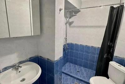 Apartament cu 2 camere de inchiriat in zona Girocului pe strada Apelor Apartament cu 2 camere de inchiriat in zona Girocului pe strada Apelor - 2