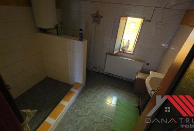 Topolovățu Mare – Casa si Teren 1683 mp - 48.500 euro - 7