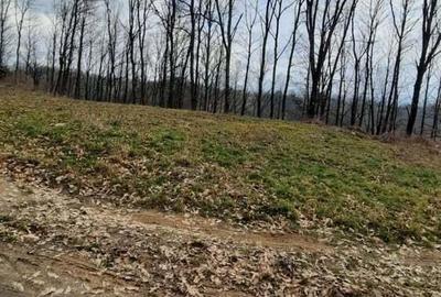 Teren de vanzare C.Caransebesului km 5 - 4