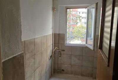 Lacul Tei, Teiul Doamnei, Colentina - 3