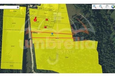 De vanzare in Belis 4.140mp