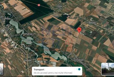 Teren agricol intravilan de 71300 mp, în Ciocănești - 5