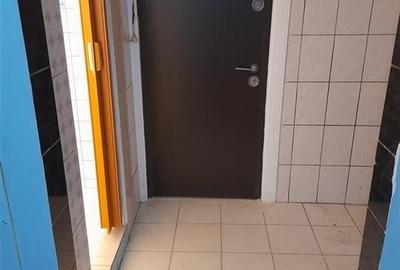 Garsoniera Parter zona Buziasului - 10