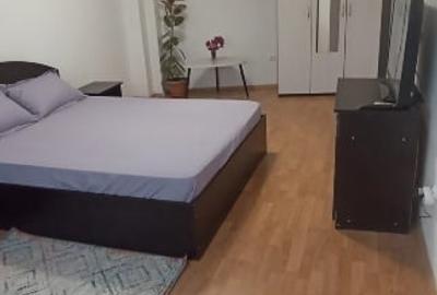 Grsoniera spațioasă de inchiriat - 10