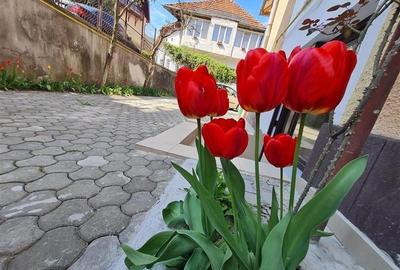 In Vintage style, cu acces auto in curte proprie,  zona Star  - Centrul Istoric, - 43