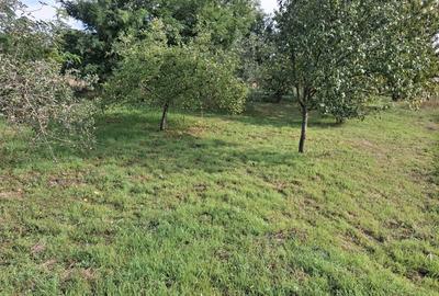 Casă cu 2 camere în Iratoșu - 5