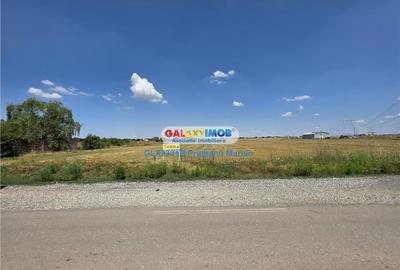 Teren 25395 mp situat in comuna Clinceni aproape de zone Rezidentiale - 26