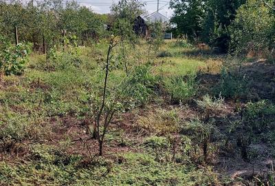 Casă cu 3 camere în Rălești - 6