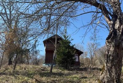 Casă cu 3 camere cu Teren 8000 Mp în Dumbrăvița - 1