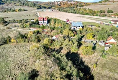 Teren Intravilan - 16