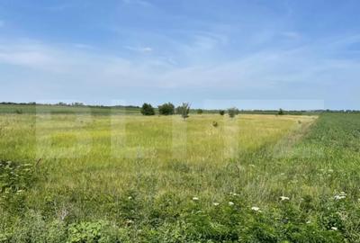 Teren de 4994 mp, în Central