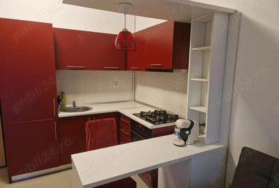 Apartament cu 2 camere semidecomandat în Dumbrăvița - 4