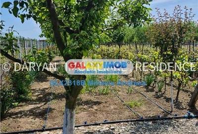 Teren in Poienari Apostoli, 21 E/mp, Avantajos, DN1, 34.500 euro - 11