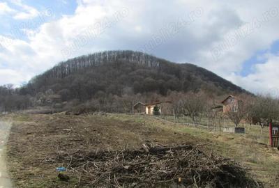 Teren arabil , fana? , livada langa padure situate in Turda? ?i Le?nic - 7