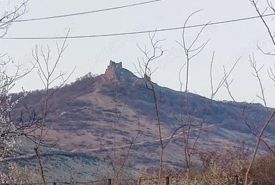 Teren de 3225 mp, în Șiria - 4