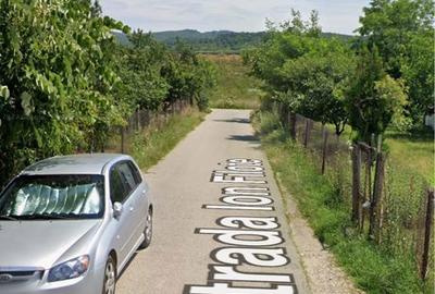 Teren de 700 mp, în Ostroveni - 2