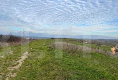 Teren intravilan 1750mp, zona Borhanci - 2