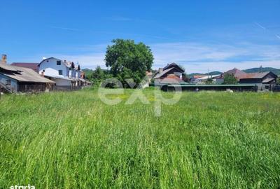 Spațiu comercial, în Domnești - 5