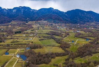 Teren Construcții intravilan de 480 mp, în Tohănița - 10