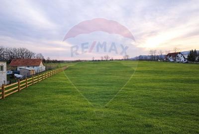 Teren Construcții de 4000 mp, în Vințu de Jos - 3