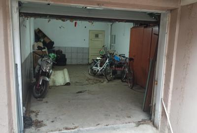 Dacia - Dumbrava Rosie ( Parc Ioanid ) - 8