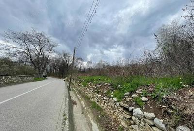 Vanzare teren intravilan - Runcu - oportunitate intr-o zona turistica deosebita - 2