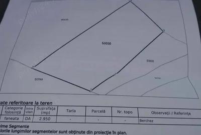 Teren de 2950 mp, în Remetea Chioarului - 1