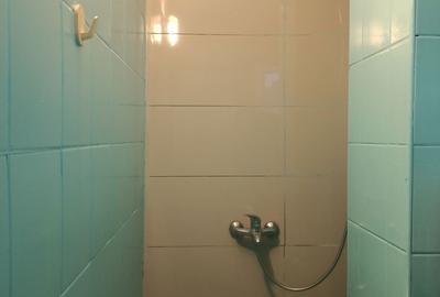 Apartament cu 2 camere semidecomandat în Brotăcei - 6