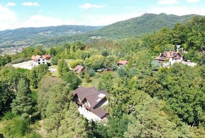 Pensiune de vanzare in Sovata Conacul Cosalina - 17