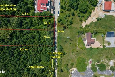 Spațiu comercial, în Timișu de Jos - 9