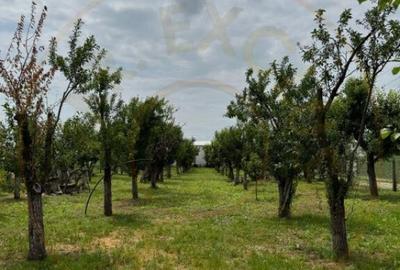 Teren de 1298 mp, în Călinești - 6