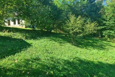 Casă cu 2 camere cu Teren 4391 Mp în Central - 3