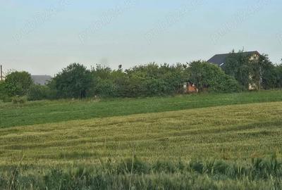 Teren de 11860 mp, în Călugăreni - 1