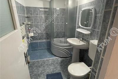 Apartament cu 2 camere decomandat, mobilat în Ștrand - 13